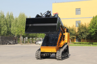 Chine Offre Spéciale ménage jardin Mini Skid Steer Loader prix avec livraison gratuite chargeur frontal et composants de noyau de pompe