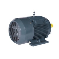 YE3 Moteur asynchrone triphasé 11/15/18 kw 22/30kw Horizontal Vertical 2 pôles 4 pôles 6 pôles étanche 22/30kw triphasé