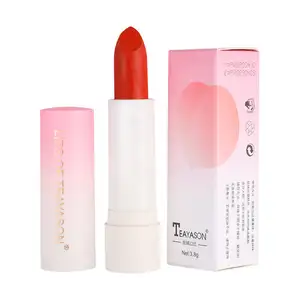 Private Label Cross-Border Lippenstift Zärtlichkeit Matte Female Retro Red Peach Lippenstift Samt Lippenstift