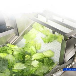 Máquina Comercial de Lavado de Frutas y Verduras para Línea de Ensamblaje, Tecnología de Corrientes de Foucault, Acero Inoxidable 304, Fácil de Operar - Product Image 2