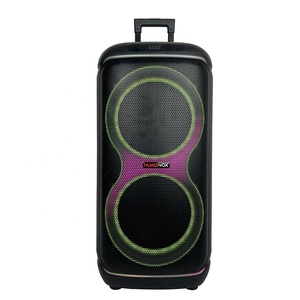 Enceinte Karaoké Portable Double 10 Pouces 60W avec Lumières LED RGB, Prise en Charge Micro Sans Fil 5.3 TF/USB, Étanchéité IPX2 pour Extérieur - Product Image 1