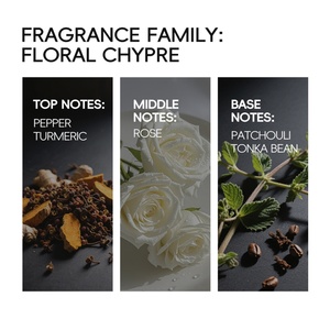 Perfume Clásico Ecológico Personalizado al por Mayor, Eau de Parfum de 50 ml, Fragancia en Aerosol de Larga Duración - Product Image 2
