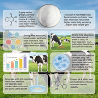 Bétaïne HCl en poudre de qualité alimentaire 96%~98% pour vaches laitières, favorise une croissance et une nutrition saines, réduit le taux de diarrhée