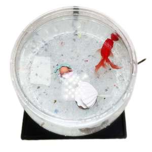 Standaard Praktisch Rond Transparant Plastic Aquarium 6 Liter Huisdiermateriaal Aquarium Klein Bureaublad Sieraquarium - Product Image 5