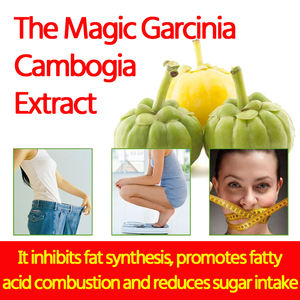 Tablet Pelangsing Garcinia Cambogia Alami Pembakar Lemak Herbal, Penekan Nafsu Makan dan Suplemen Pengatur Berat Badan - Product Image 3