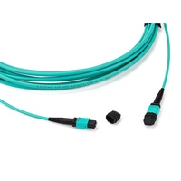 Kabel Patch Cord Fiber Optik MPO MTP Trunk 12/24/48 Core untuk Penggunaan Dalam Ruangan |   Produsen Milik Pemerintah Buatan Vietnam