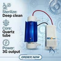 Générateur d'ozone à tube de quartz DGOzone 3G/5G/10G pour la purification de l'eau, le traitement de l'air et de l'eau, certifié CE et ROHS