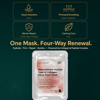 Masque en feuille hydratant, réparateur, apaisant et antioxydant au collagène humain recombinant de type III, anti-âge, 28g pour le visage