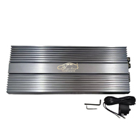 Amplificateur de voiture mono professionnel YIYELANG 1CH 3000W/5000W classe D avec crossovers pour l'audio automobile - Vente chaude aux États-Unis