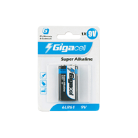 Piles alcalines 9V carrées 6LR61 pour détecteurs de fumée et appareils haute puissance