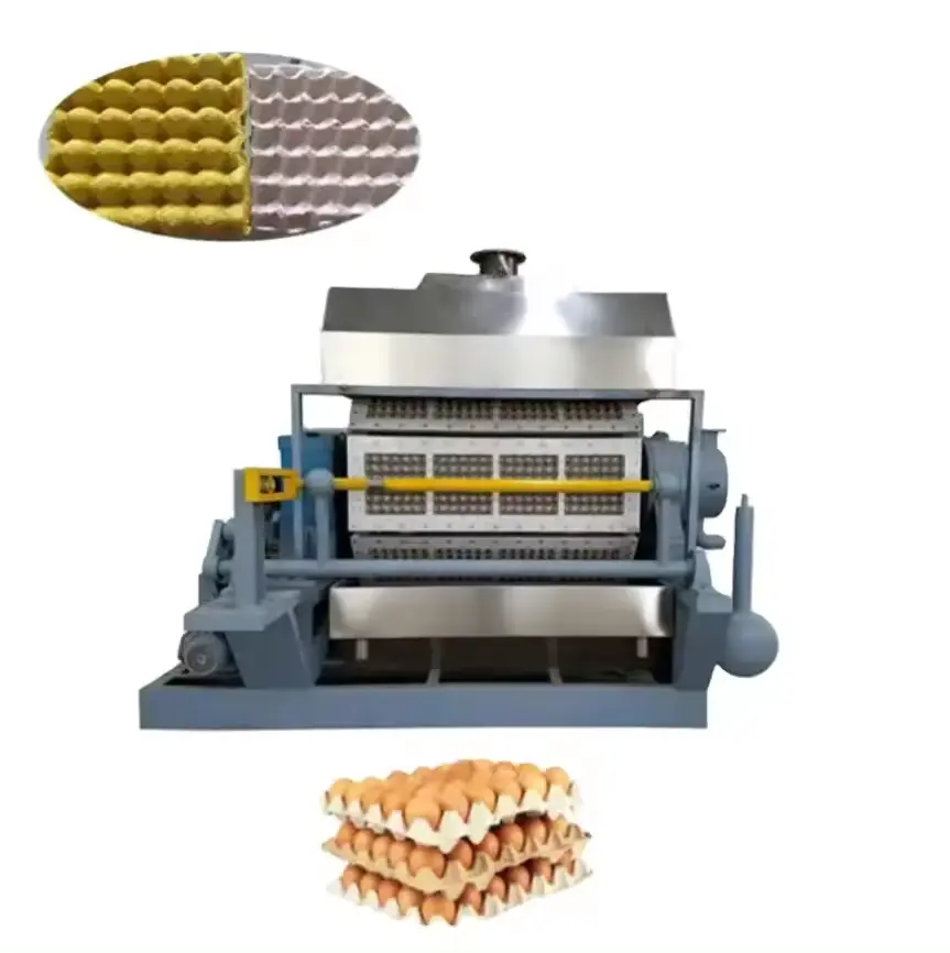 Ligne de production de plateaux à œufs en papier bon marché Machine de fabrication de plateaux à œufs