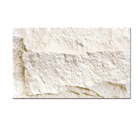 Pierre flexible anti-humidité en forme de champignon pour projets muraux extérieurs modernes avec garantie de 5 ans