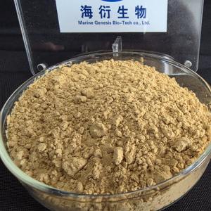 Approvisionnement en vrac en poudre d'extrait de Panax <span class=keywords><strong>Notoginseng</strong></span> sauvage biologique 10% Améliore le bien-être Remèdes à base de plantes - Sans gluten Emballage sous vide en fût - Product Image 4