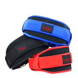 Cinturón de Gimnasio Ajustable de Neopreno con Logotipo Personalizado para Levantamiento de Pesas y Entrenamiento, con Soporte Lumbar Acolchado y Soporte de Compresión para la Espalda - Product Image 1