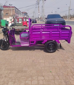 Triciclo Eléctrico de Fábrica de 800W para Adultos, Bicicleta de Transporte de Mercancías, Motocicleta Eléctrica de Carga, Triciclo Eléctrico - Product Image 5