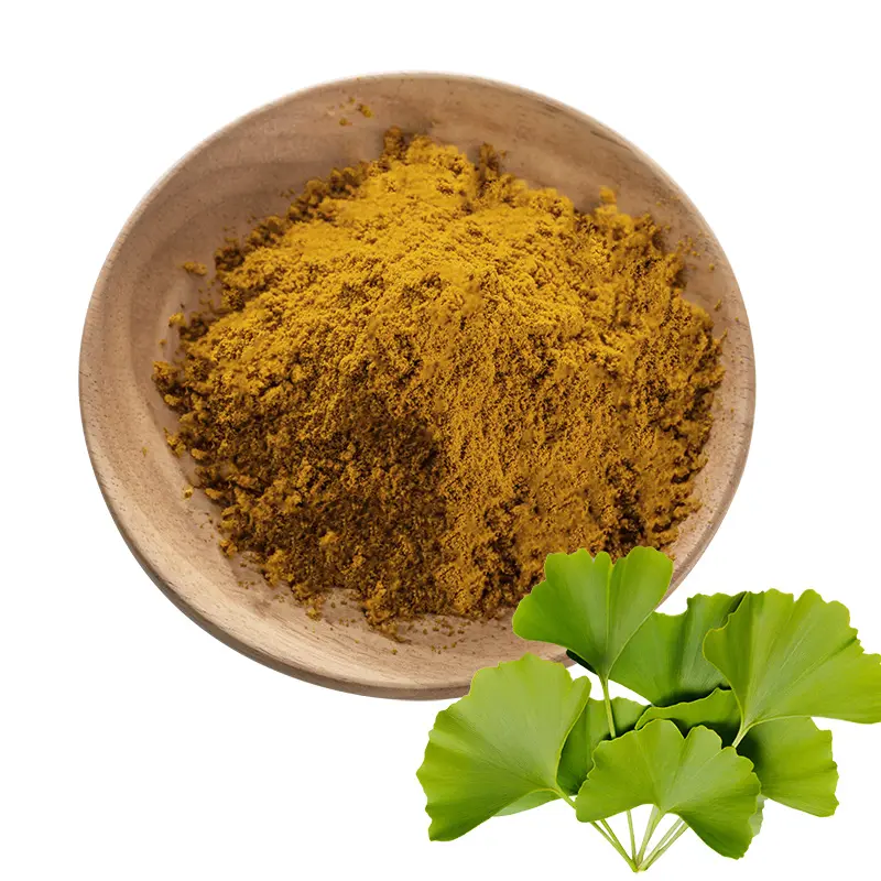 Poudre d'extrait de feuille de Ginkgo de haute qualité Extrait de Ginkgo Biloba 24% Flavones 6% lactones ginkgo Alimentaire HPLC Tambour Feuille de Ginko