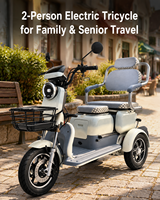 Tricycle électrique motorisé 48V 500W, scooter électrique à 3 roues, 2 places, panier de rangement, autonomie 30-50 km, carrosserie ouverte, adulte, personne âgée