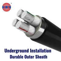 Cable de Alimentación Blindado de Alto Rendimiento CU/XLPE/SWA/PVC de un Solo Núcleo de 35 mm-630 mm, Cobre YJV22 N2XRY SWA STA 0.6/1kV