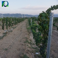Poste de Acero Inoxidable para Vivero, Estaca para Uvas, Ecológico, Resistente a Roedores y a la Putrefacción, Tratado a Presión, Valla para Jardín, Cercado para Ganado, 6 Unidades