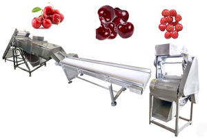 Máquina Despulpadora de Cerezas Automática Comercial de Alta Calidad, en Oferta - Product Image 6