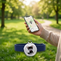 Traceur GPS Bluetooth double positionnement pour animaux de compagnie, collier anti-perte, suivi en temps réel, autonomie ultra-longue pour chats et chiens, compatible Apple