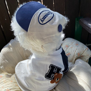 Casquette de baseball brodée à blocs de couleurs pour chats et chiens, idéale pour l'extérieur. Style coréen, soleil pour animaux de compagnie digne d'Instagram - Product Image 2