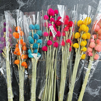 Penjualan Panas Bunga Kering Gomphrena Globosa Buatan Tangan untuk Natal, Pernikahan & Hari Valentine Ramah Lingkungan Tahan Lama