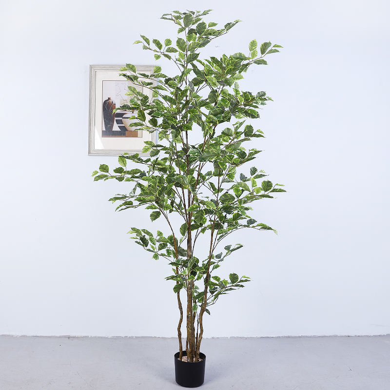 180ซม.-สีเขียวขาว