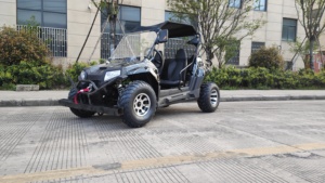 <span class=keywords><strong>UTV</strong></span> de 250cc/<span class=keywords><strong>UTV</strong></span> Deportivo Utilitario Económico de 300cc en Oferta, Mini <span class=keywords><strong>UTV</strong></span> para Niños - Product Image 5