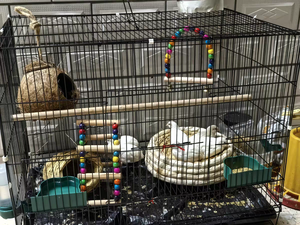 Cage à oiseaux Chuangduo en gros pour petits oiseaux (perruche/gerbille) - Cage à animaux de compagnie en métal durable, jouets, bac facile à nettoyer, garantie de 3 mois - Product Image 6