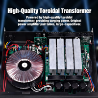 Profesyonel Güç Amplifikatörü VS-350 Analog Sınıf H 2 Kanal 2*350W 8ohm 2*1050W 2ohm Toroidal Sahne DJ Amplifikatörü
