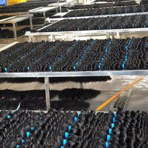 Extensiones de cabello humano, pelucas de cabello humano, paquetes de cabello humano, cabello para trenzar - Product Image 2