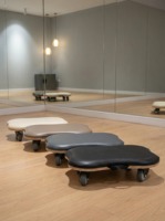 Planche d'équilibre multifonctionnelle en bois Selfcipline Pilates Studio avec rouleau orbital pour exercices de renforcement du tronc et surface rembourrée confortable