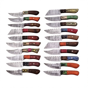 Rajput <b>Knives</b> Handcrafted Industrial Grade Damascus Steel Fixed Blade Hunter/Camping <b>Knife</b> Wood <b>Handle</b> Clip Point 20cm 3-Year - Product Image 1