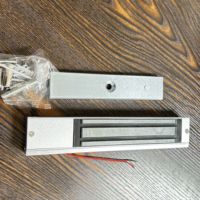 Serrure Électromagnétique Intelligente de Sécurité Automatique à Fausse-Montée Inviolable en Alliage de Zinc pour Porte Battante Simple 280kg/600lbs