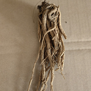 当归全根干品出售 - Product Image 2