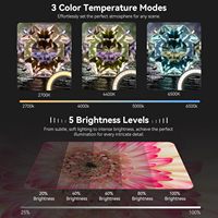 Kit de création tout-en-un Lumière LED portable Mini Selfie Light et Live Show Fill Light avec support d'objectif Content Creator Gear