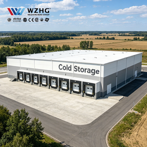 Solución de Ingeniería de Estructura de Acero Q355b para Almacenes de Refrigeración Industrial, Solución Automatizada para Empresas de Logística de Múltiples Pisos - Product Image 1