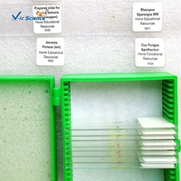 Glass Microbial Fungus Observation Microscope Teaching Specimen Slides Set