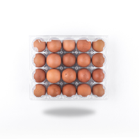 Vente en gros bon marché emballage d'oeufs jetables en PET 20 trous plateau d'oeufs transparent en plastique