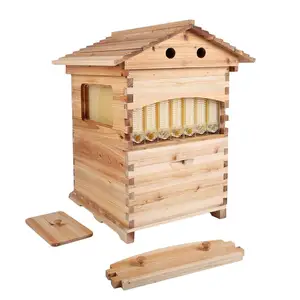 Auto Wooden Flows Bee Hive House kit Beehive Boxes with 7 Pieces Comb Honey Frames for Beginning and Professional Beekeepers