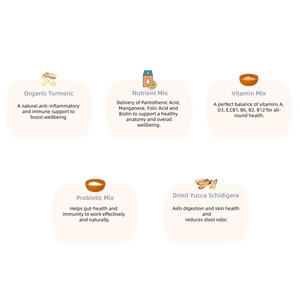 Integratore per Animali Domestici OEM, Probiotici Personalizzati in Bocconcini Morbidi, Integratore per la Salute Digestiva dei Cani, Curcuma Biologica per il Sistema Immunitario e la Salute Intestinale - Product Image 3