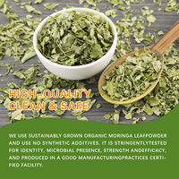 Kapsul Daun Moringa Potensi Tinggi - Mendukung Pencernaan & Kecerahan Mental, Suplemen Berbasis Tumbuhan Murni Bersertifikat GMP