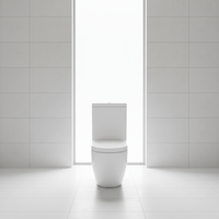 WC moderne en céramique à double chasse, à fermeture douce, monobloc, à chasse directe sans bride pour salle de bain