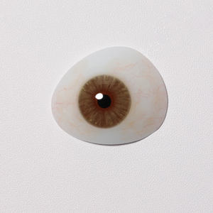 Modelo de Olho Artificial Estojo de Exibição Multifuncional para Lentes de Contato Caixa de Exibição para Lentes de Contato com Pinça - Product Image 1