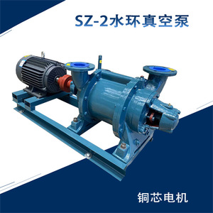Sz 2 Water Ring Vacuum Pump 380 V Electric Centrifugal Pump For Water Treatment Machinery - Product Image 5