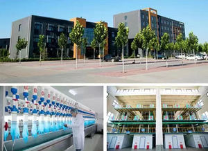 丁腈手套经销商汽车用品工厂直售厚度6种尺寸S/<span class=keywords><strong>M</strong></span>/L/XL防水透气 - Product Image 2