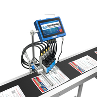 Impresora de inyección de tinta en línea Tij con 4 cabezales de impresión, pantalla táctil, máquina codificadora digital de alta velocidad para etiquetas, bolsas de plástico y cajas de lotes.