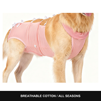 Combinaison de récupération post-stérilisation pour chien, style à bretelles, élastique, pour femelles, alternative au collier de protection, anti-léchage, respirante, en coton uni