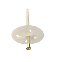 Clous d'isolation Huaerda au design moderne 60 mm DN, prévention des incendies, couleur argentée, garantie 5 ans, pour l'installation de panneaux isolants